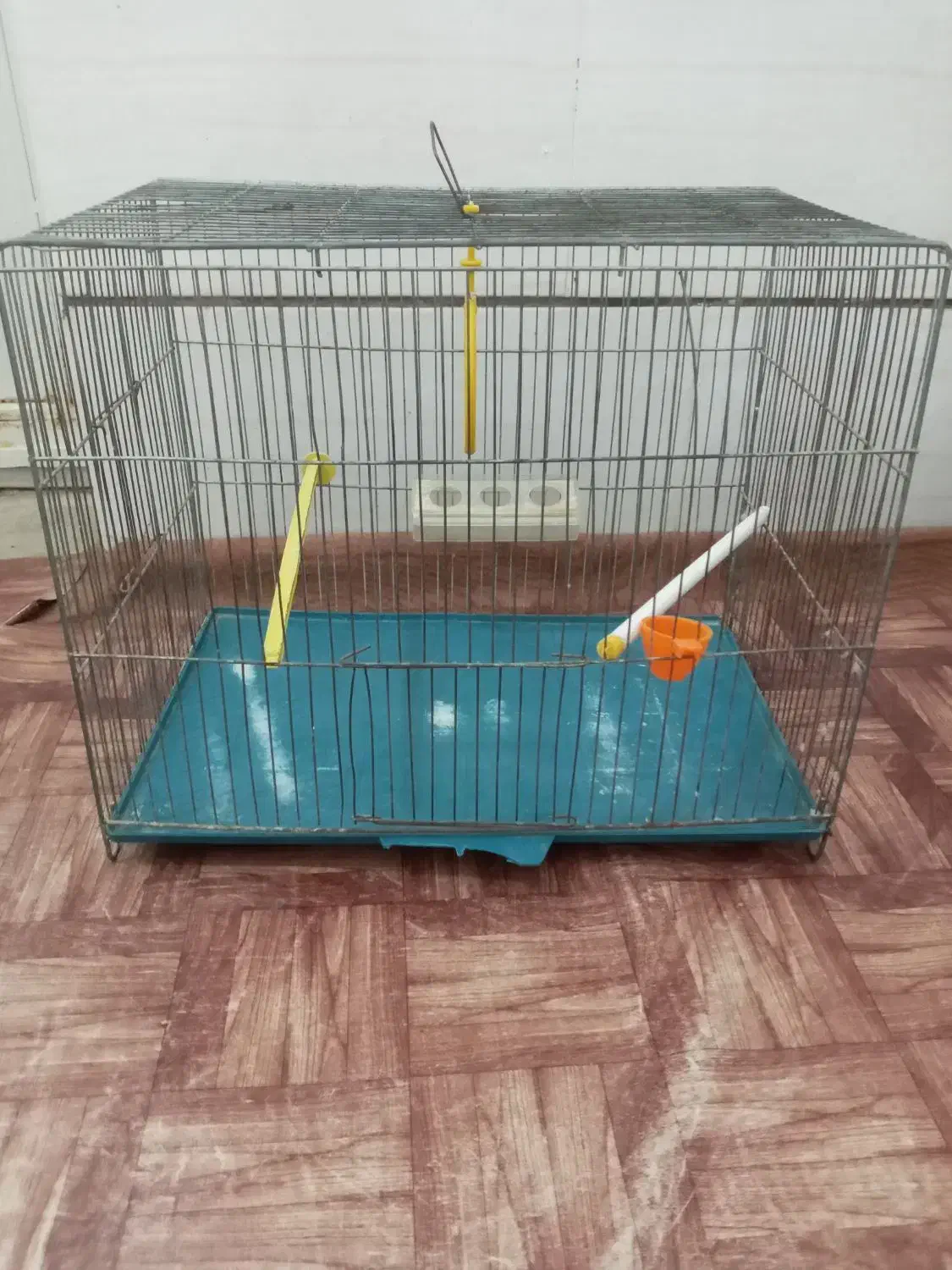 قفس پرنده|لوازم جانبی حیوانات|قزوین, |دیوار