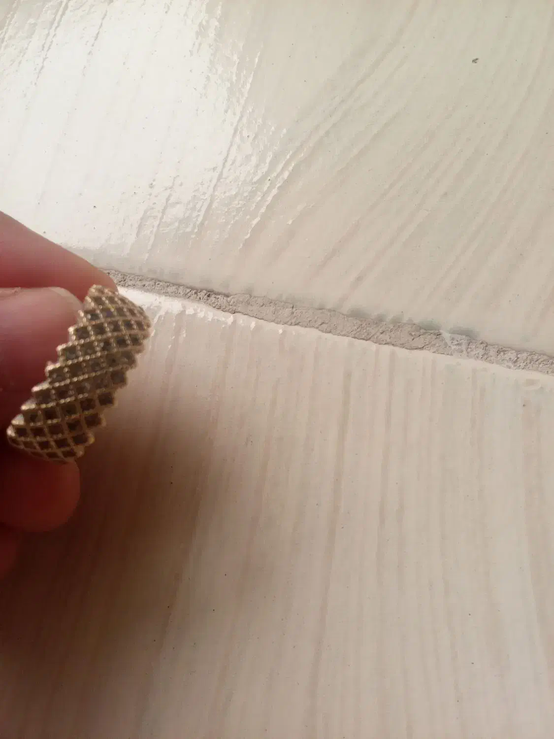 انگشتر رنگ ثابت|بدلیجات|اصفهان, بوستان ناژوان|دیوار