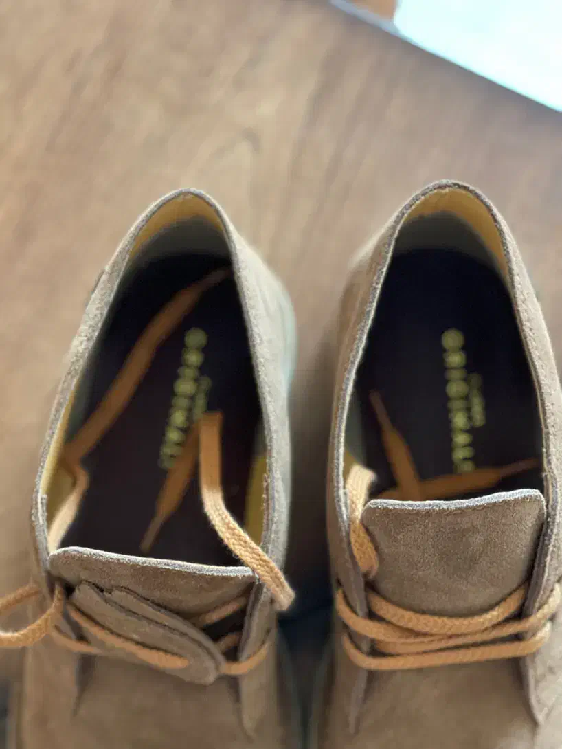 نیم بوت مدل کلارک،اورجینال،پوشیده نشده و نو|کیف، کفش، کمربند|مرودشت, تامین اجتماعی‎|دیوار