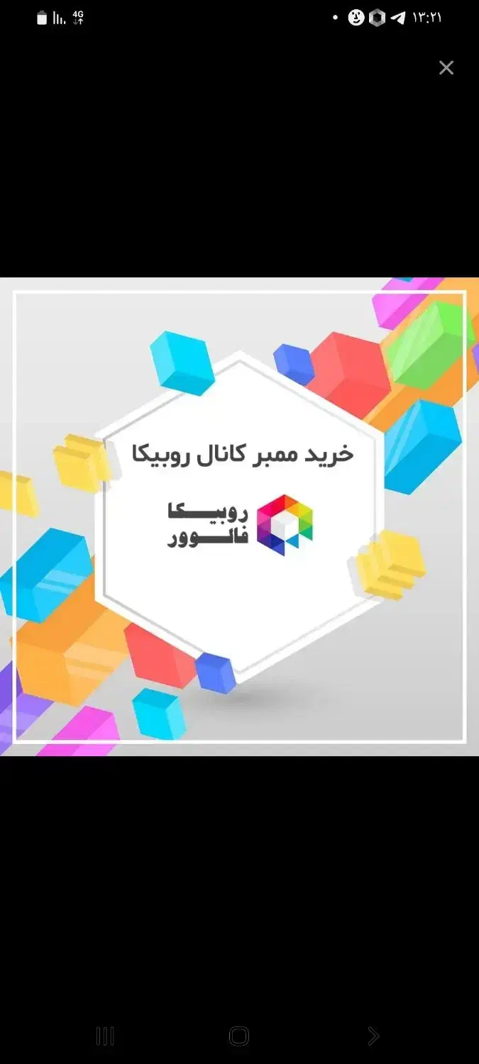 ممبر برای کانال روبیکا و تبلیغات|خدمات رایانهای و موبایل|بیرجند, |دیوار