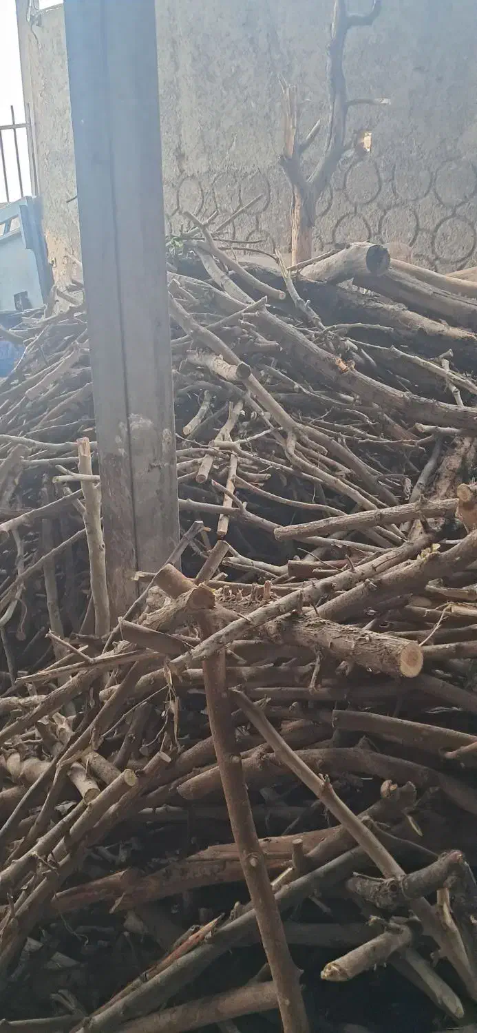 خریدار چوب|خدمات باغبانی و درختکاری|نظرآباد, شهرک سید جمال الدین|دیوار