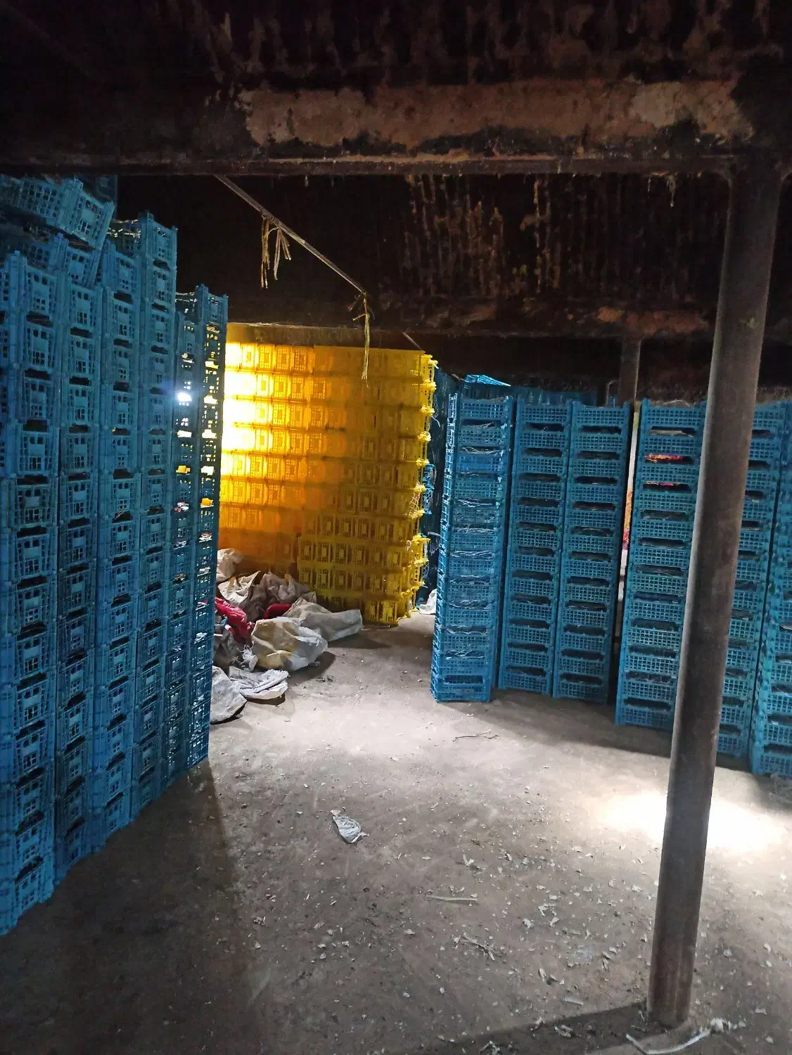 سبد ۵کیلویی سیر|ظروف نگهدارنده، پلاستیکی، یک‌بارمصرف|بهار, |دیوار