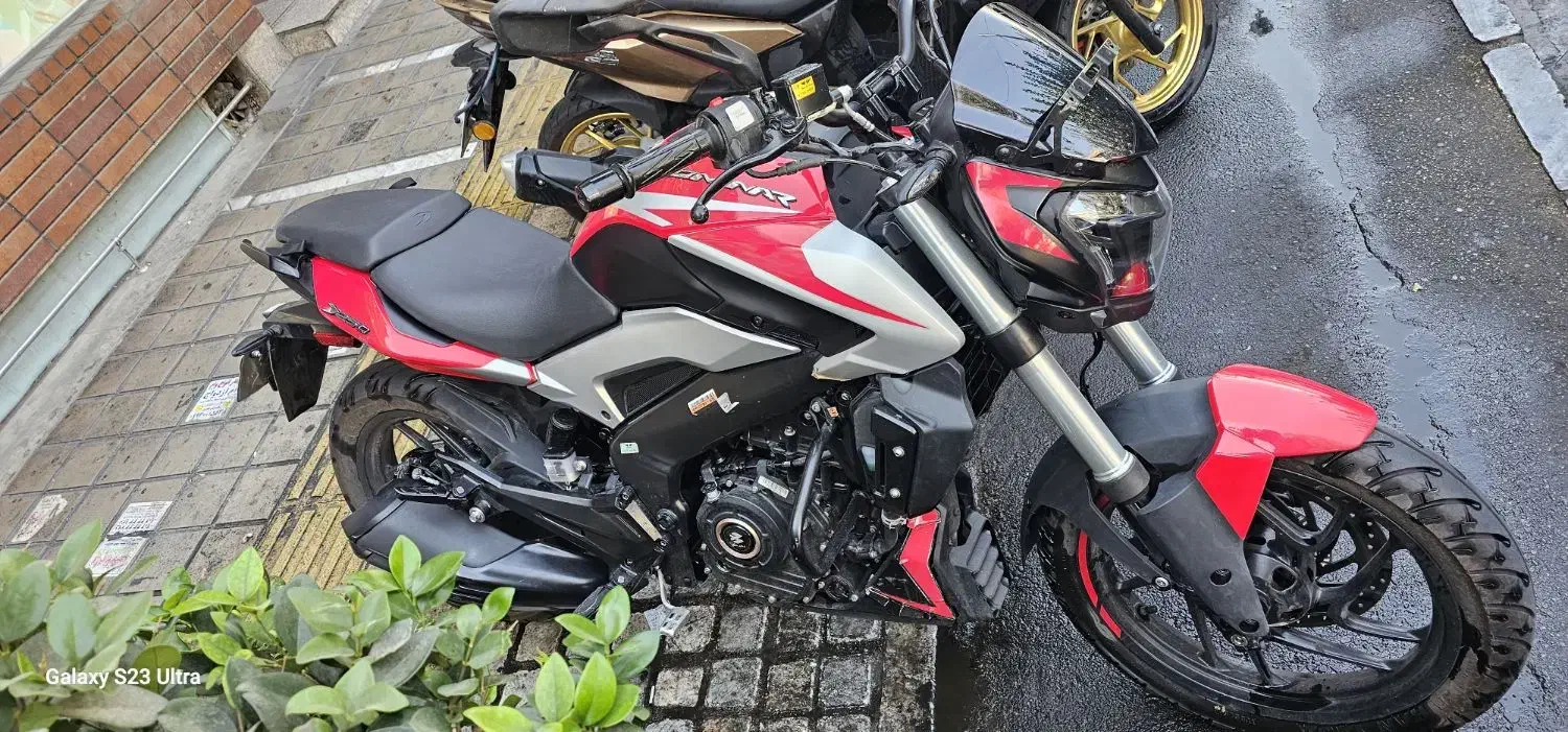 دومینار ۲۵۰|موتورسیکلت|تهران, چهارصد دستگاه|دیوار