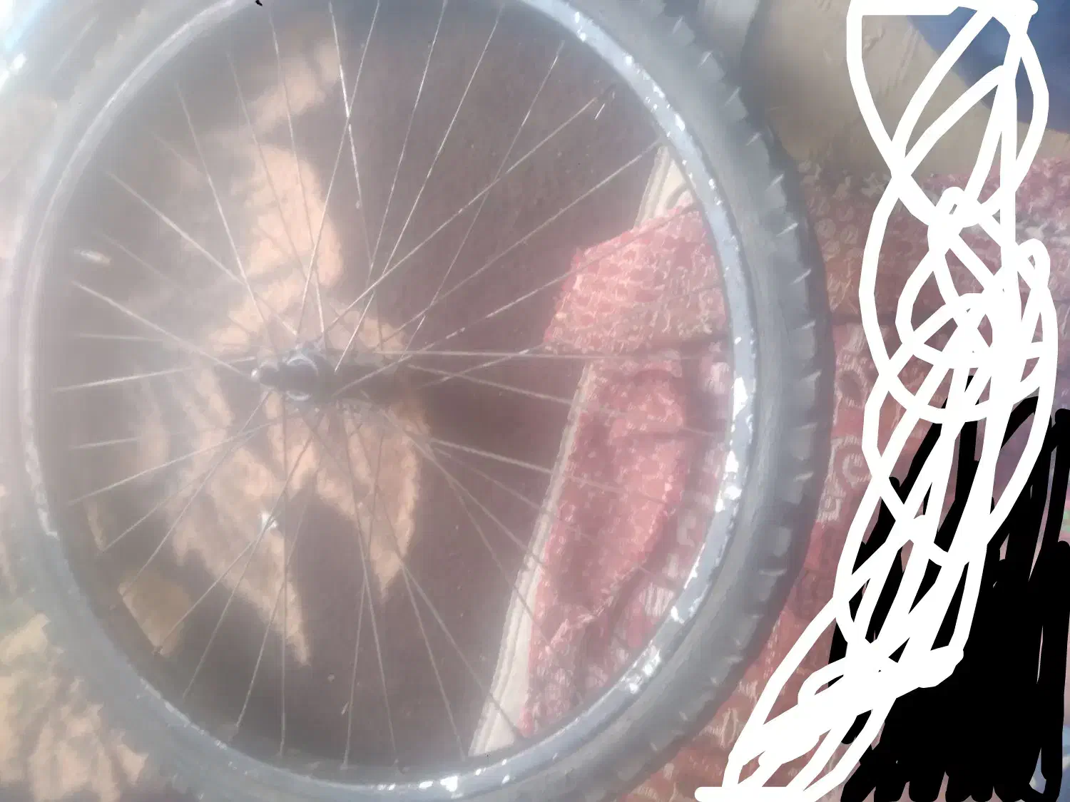 رینگ ۲۴|دوچرخه، اسکیت، اسکوتر|زابل, |دیوار