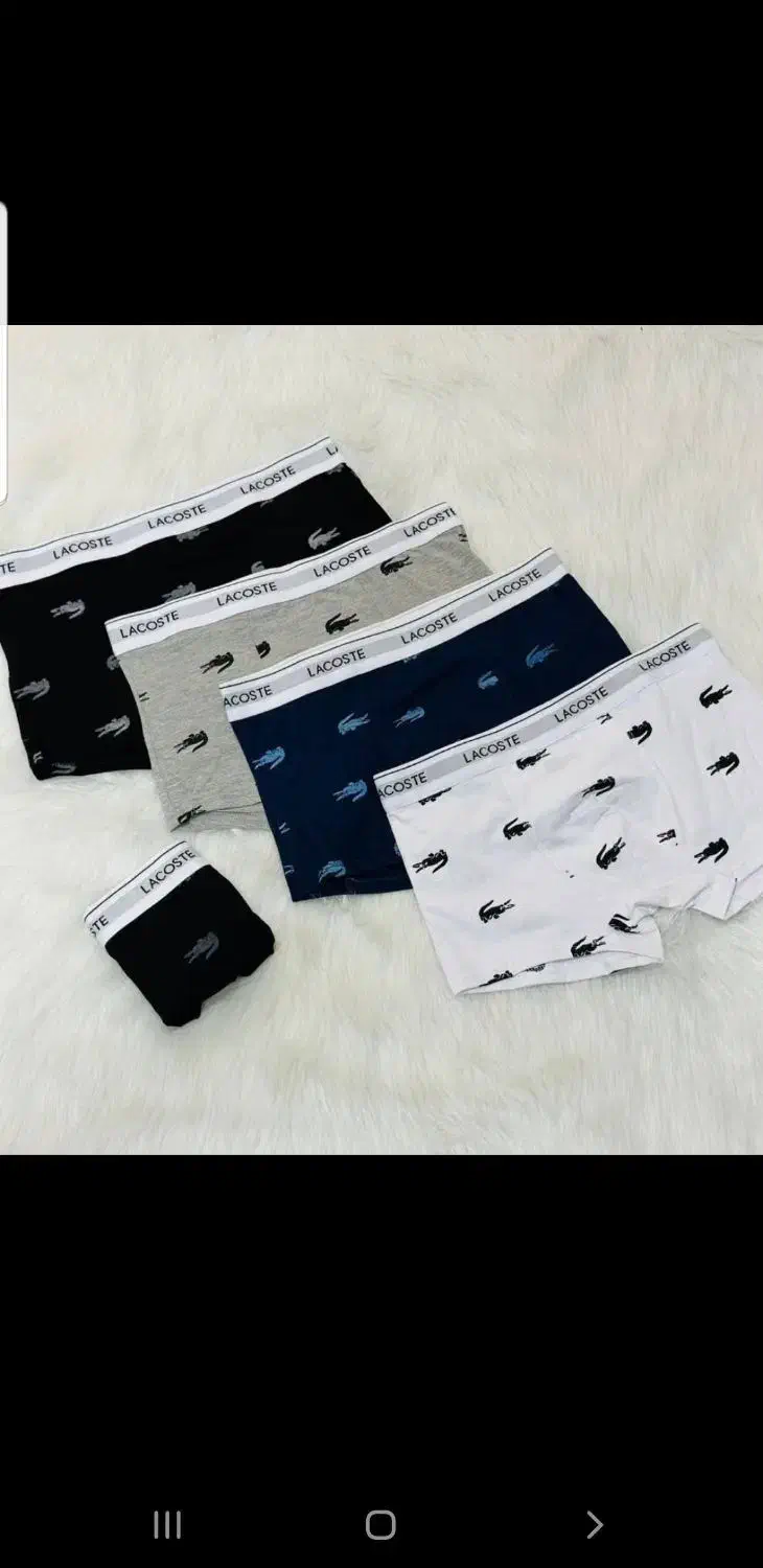 شورت پادار نخ پنبه لاگوست|لباس|شهرکرد, |دیوار