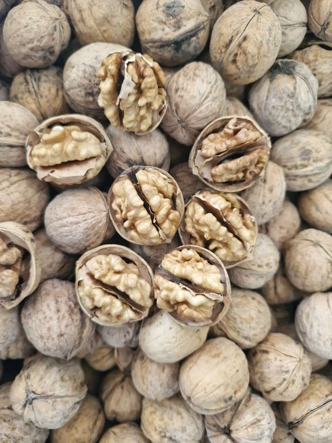 استخدام ویزیتور و بازاریاب در مرودشت|استخدام بازاریابی و فروش|مرودشت, ابوذر شمالی‎|دیوار