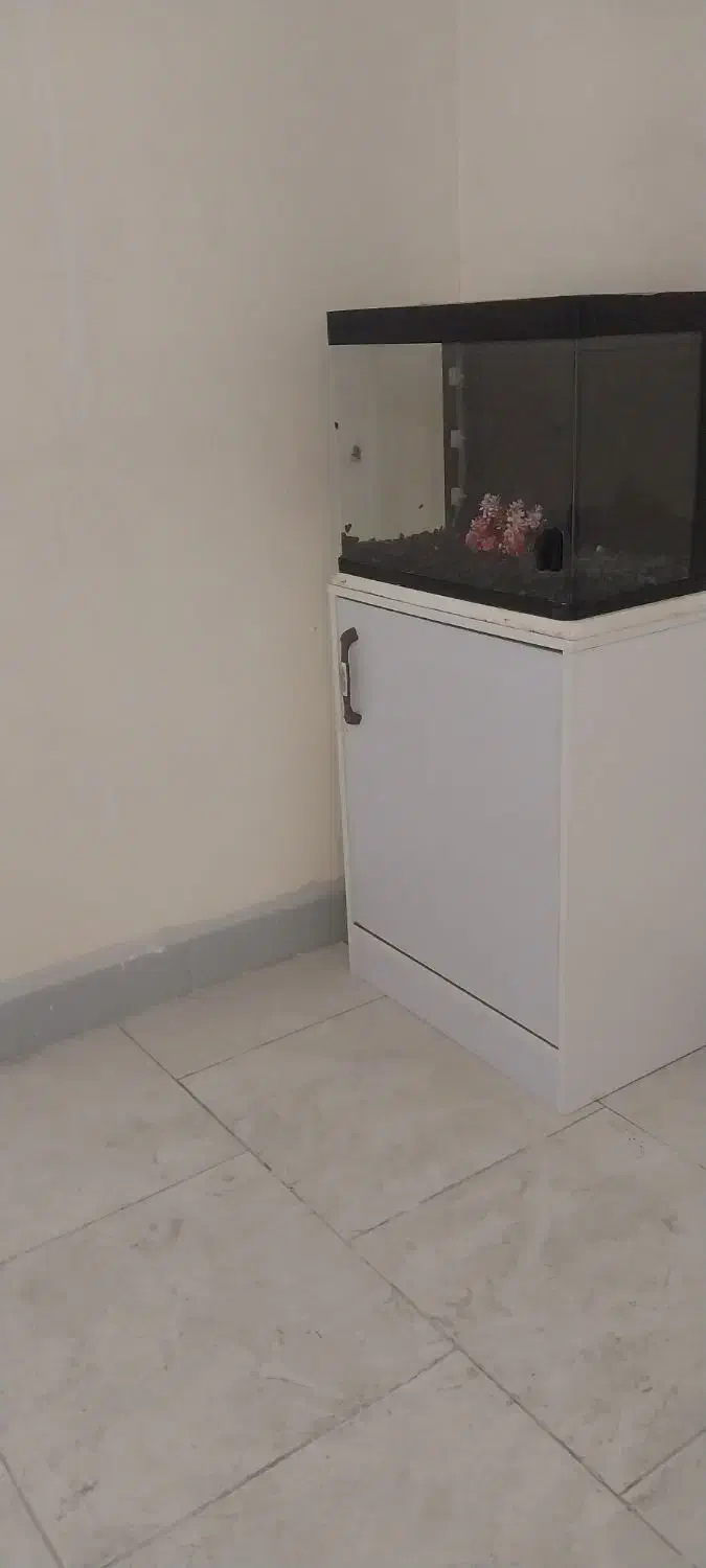 آکواریم با پایه و لوازم|ماهی|فردیس, شهرک ارم|دیوار