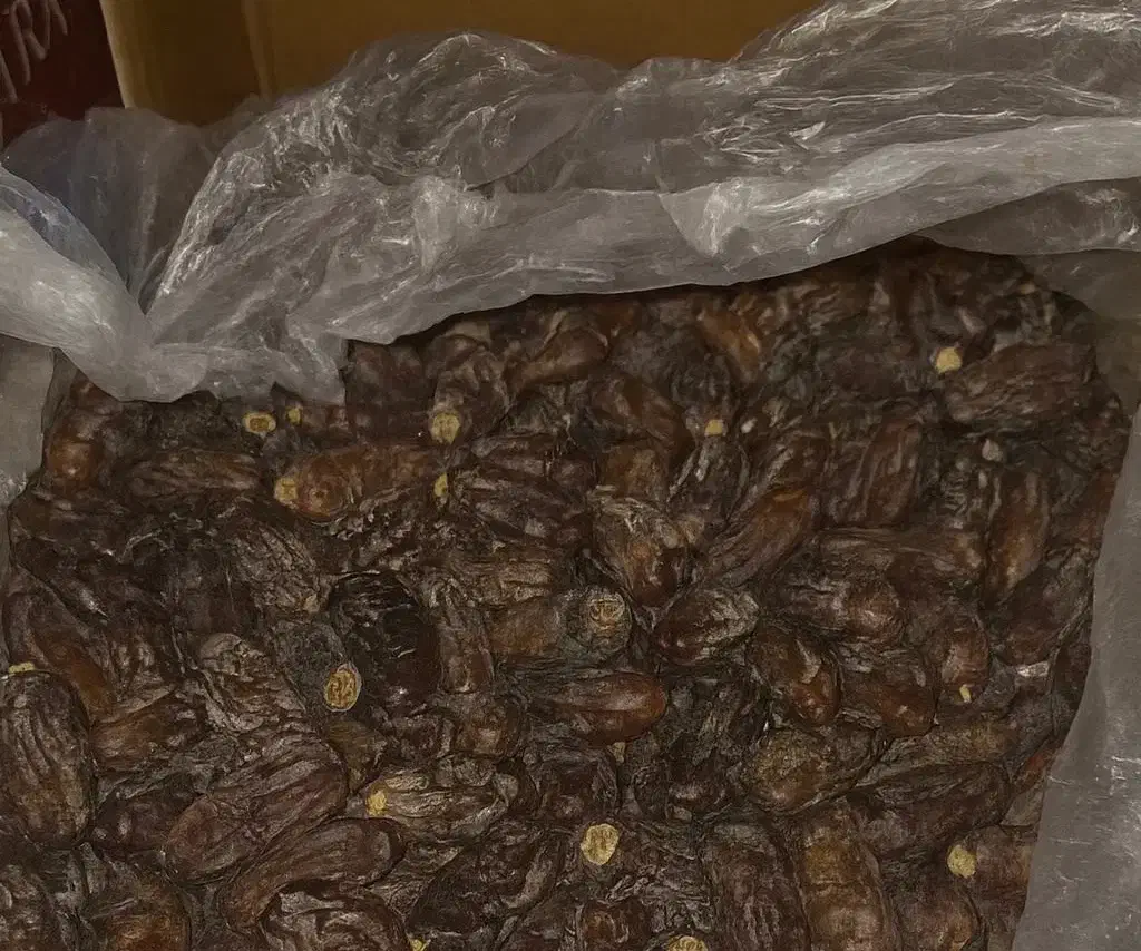 فروش خرمای ربی اعلا به صورت تنی و عمده|خوردنی و آشامیدنی|ایرانشهر, |دیوار