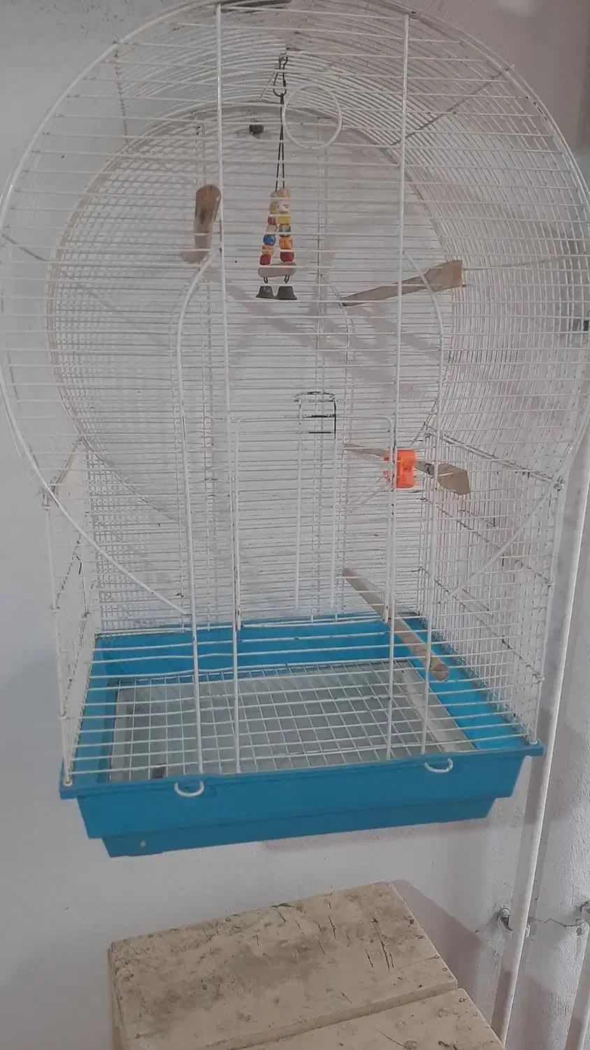 قفس طوطی عروس|لوازم جانبی حیوانات|رشت, اسماعیل آباد|دیوار