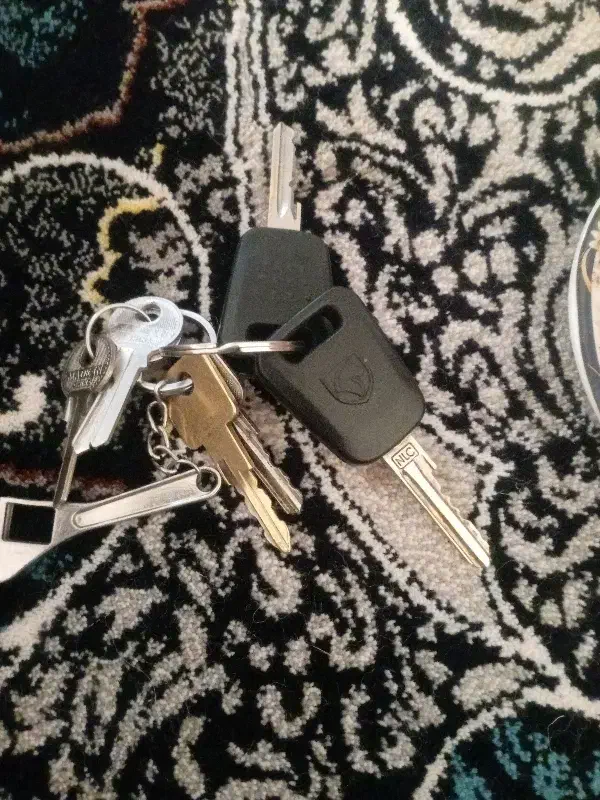 کلید پرشیا|اشیا|چالدران, |دیوار