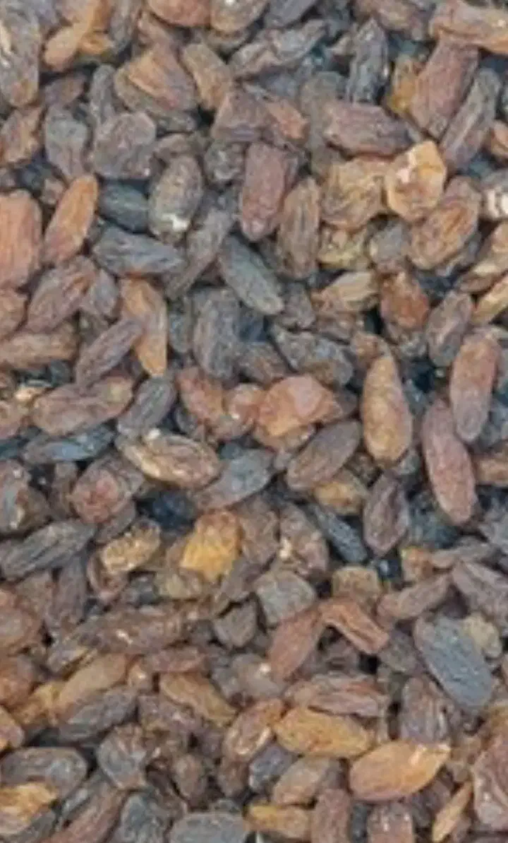 کشمش آبگیری با عصاره بالا|خوردنی و آشامیدنی|بجنورد, |دیوار