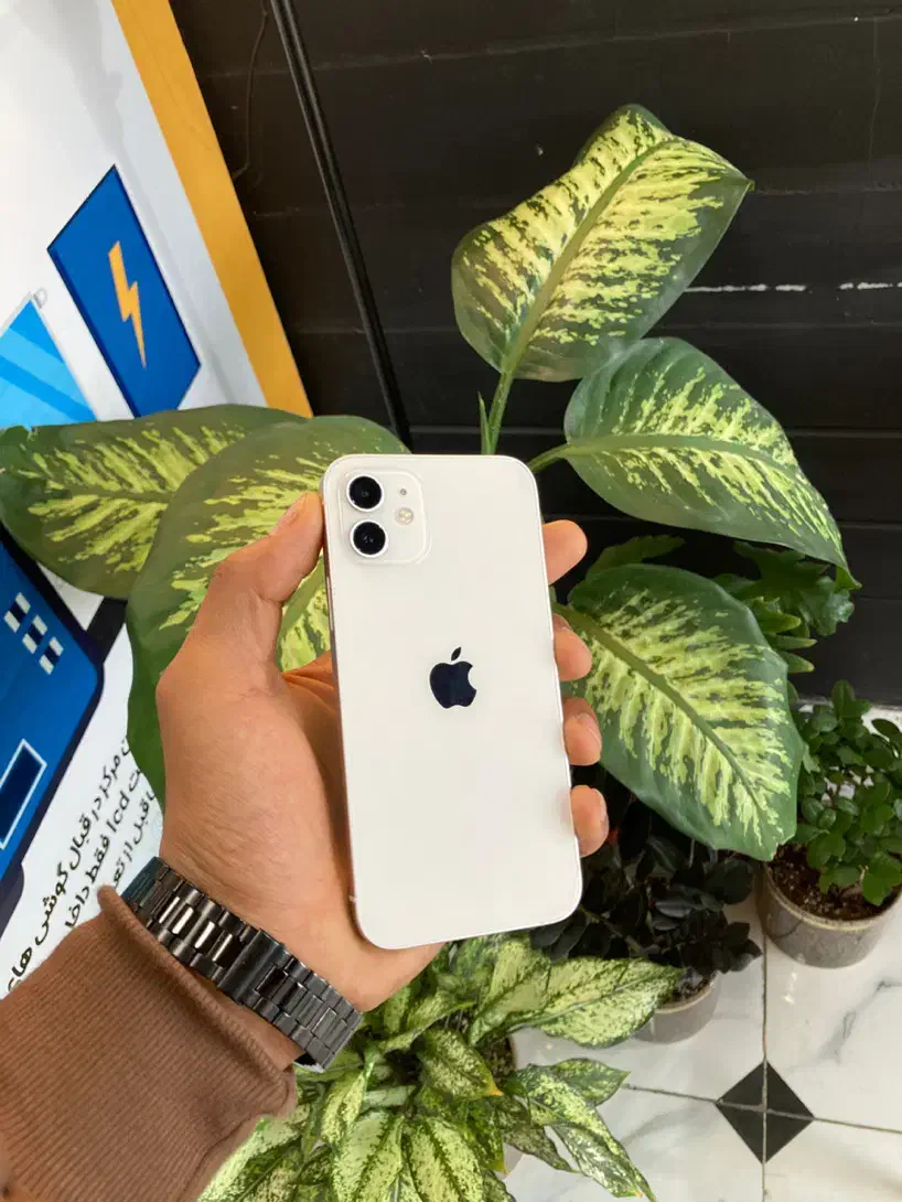 آیفون ۱۲ نرمال zaa|موبایل|قم, علی آباد سعدگان|دیوار