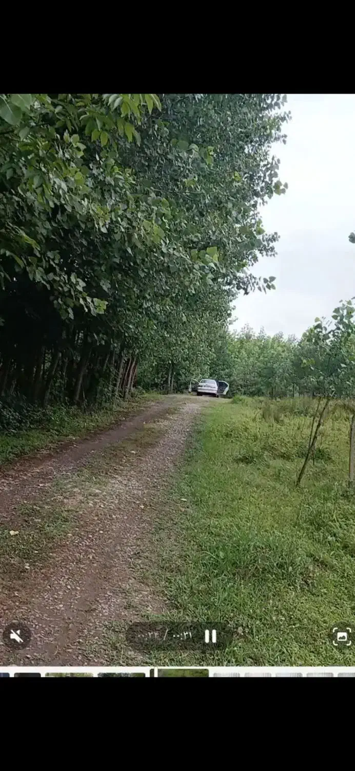 زمین۸۲۶متری|فروش زمین و ملک کلنگی|صومعه‌سرا, |دیوار