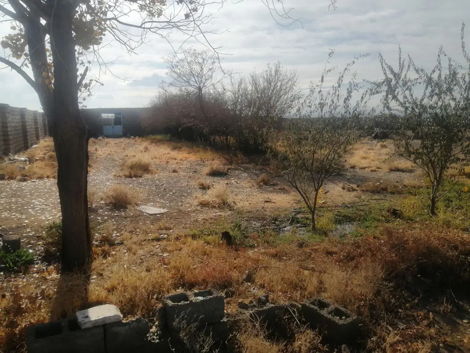 گاوداری|فروش دفتر صنعتی، کشاورزی، تجاری|زرند, |دیوار