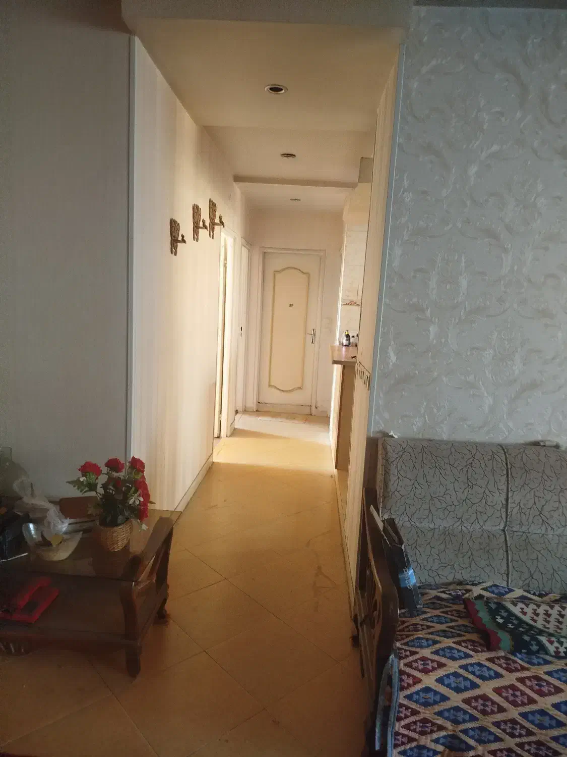 هم خانه دانشجویی|اجارهٔ آپارتمان|شیراز, گلدشت معالی‌آباد|دیوار