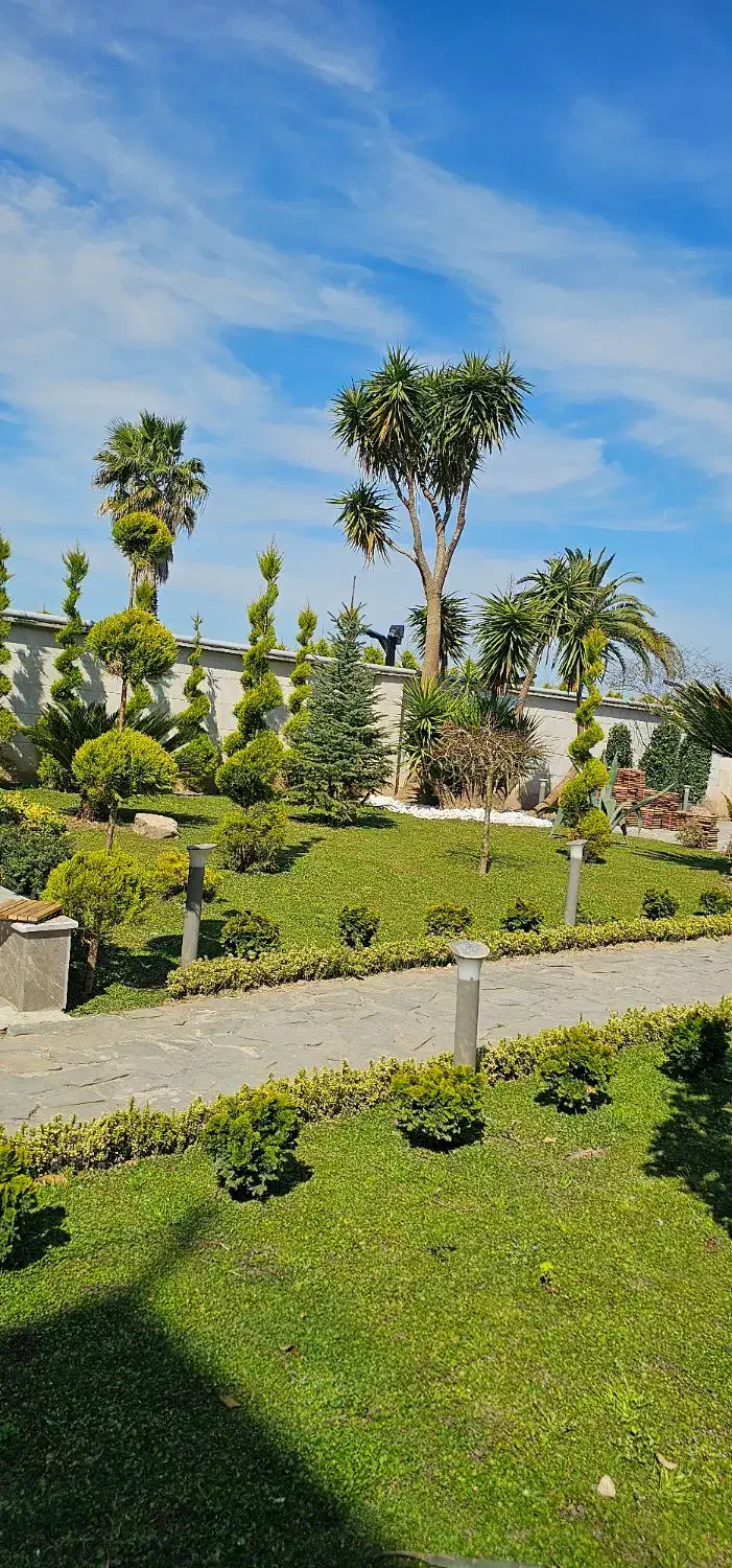 هرس کاج سمپاشی محوطه سازی طراحی|خدمات باغبانی و درختکاری|نوشهر, |دیوار