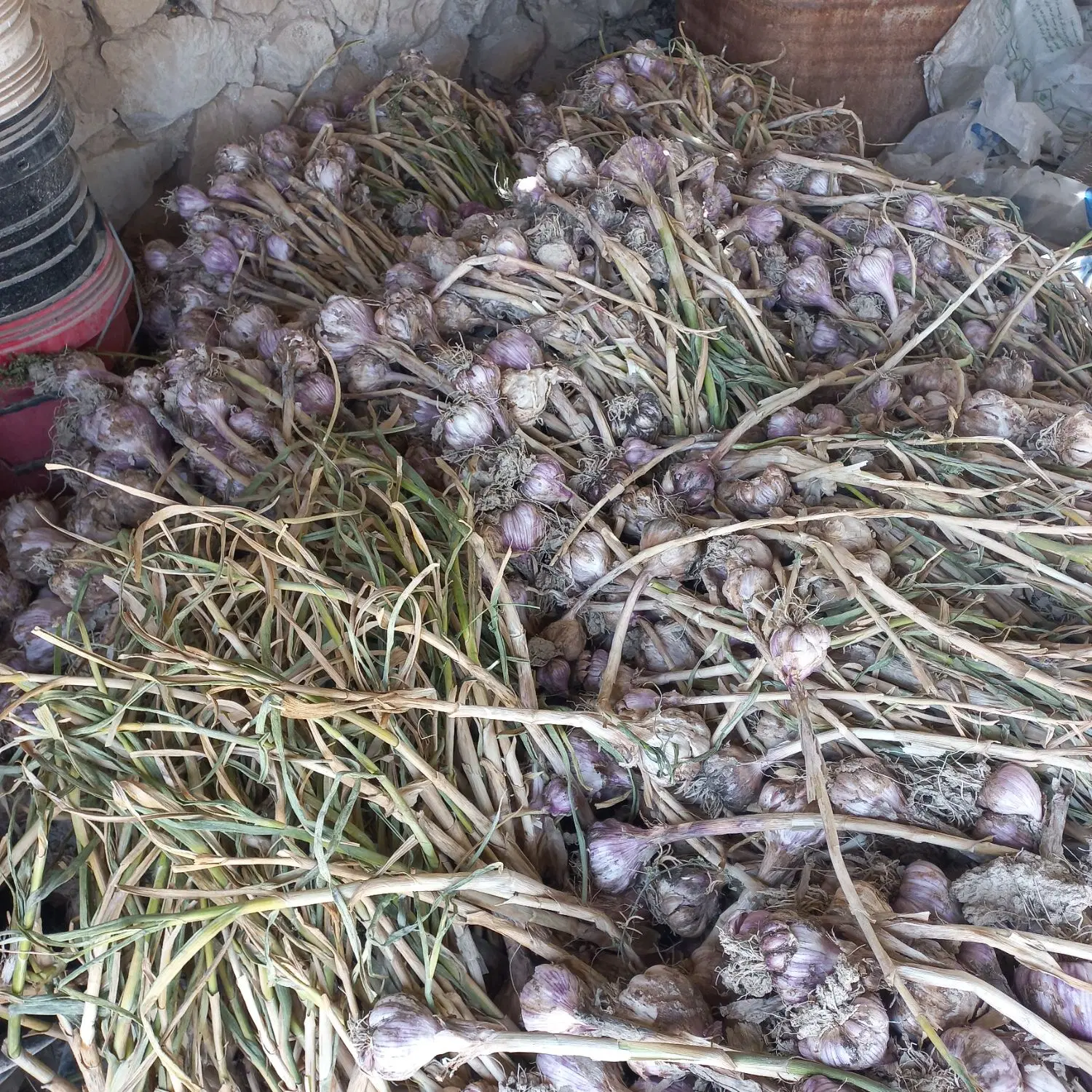سیر محلی|خوردنی و آشامیدنی|آبدان, |دیوار