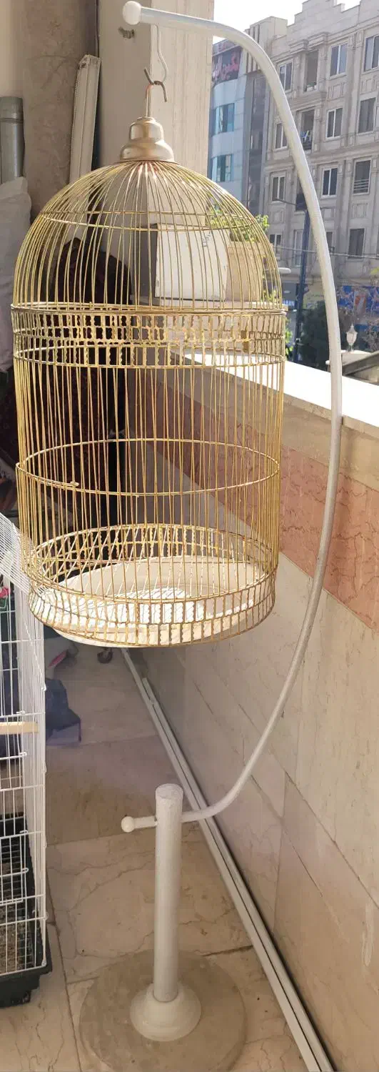 قفس پرنده|لوازم جانبی حیوانات|پاکدشت, پاکدشت (مامازند)|دیوار