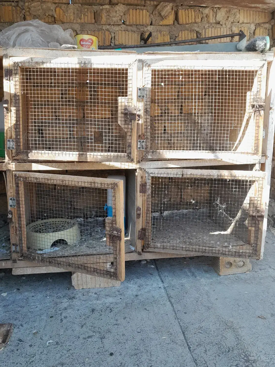 قفس جفتگاه|لوازم جانبی حیوانات|شیراز, شهرک صادقیه|دیوار