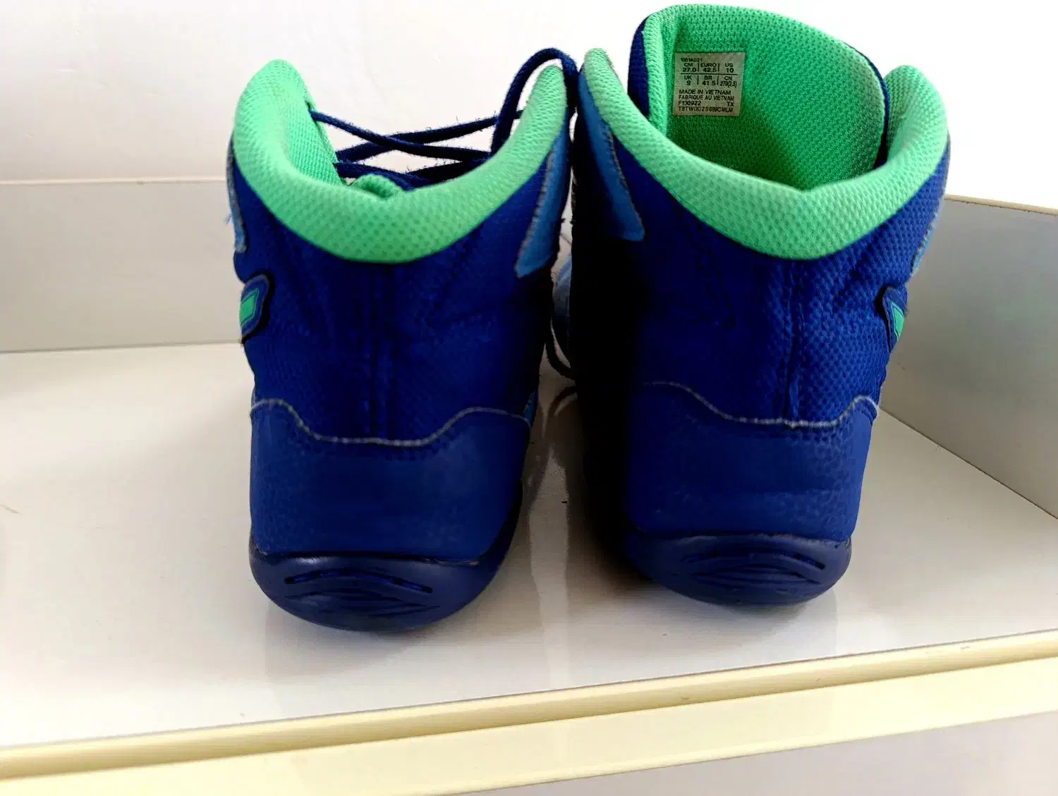 کفش کشتی|کیف، کفش، کمربند|اردبیل, |دیوار