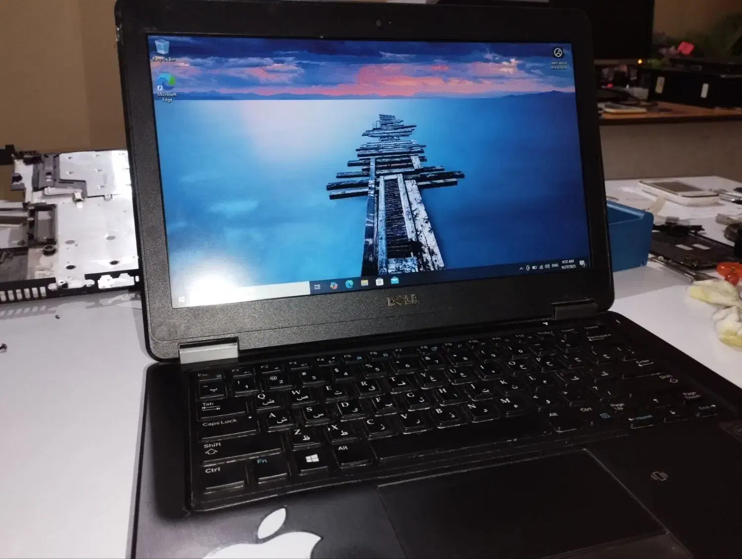 لبتاپ دل|رایانه همراه|بوشهر, |دیوار