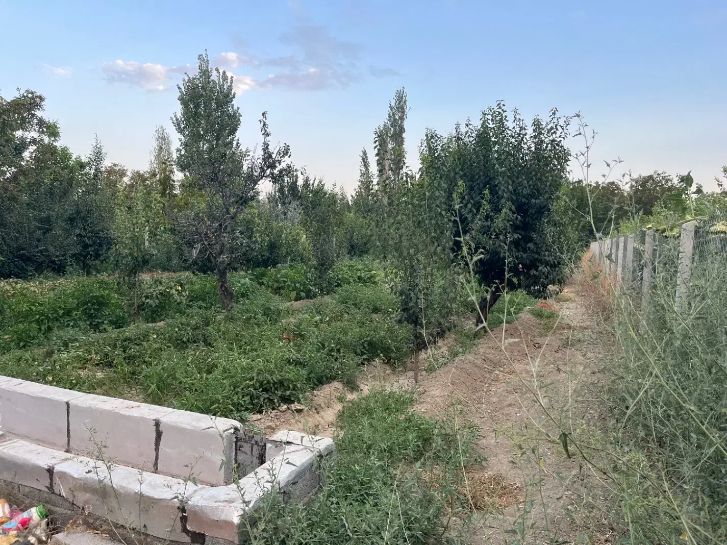 باغ ۱۵۰۰ متر در روستای چناقلو|فروش زمین و ملک کلنگی|نوشین شهر, |دیوار