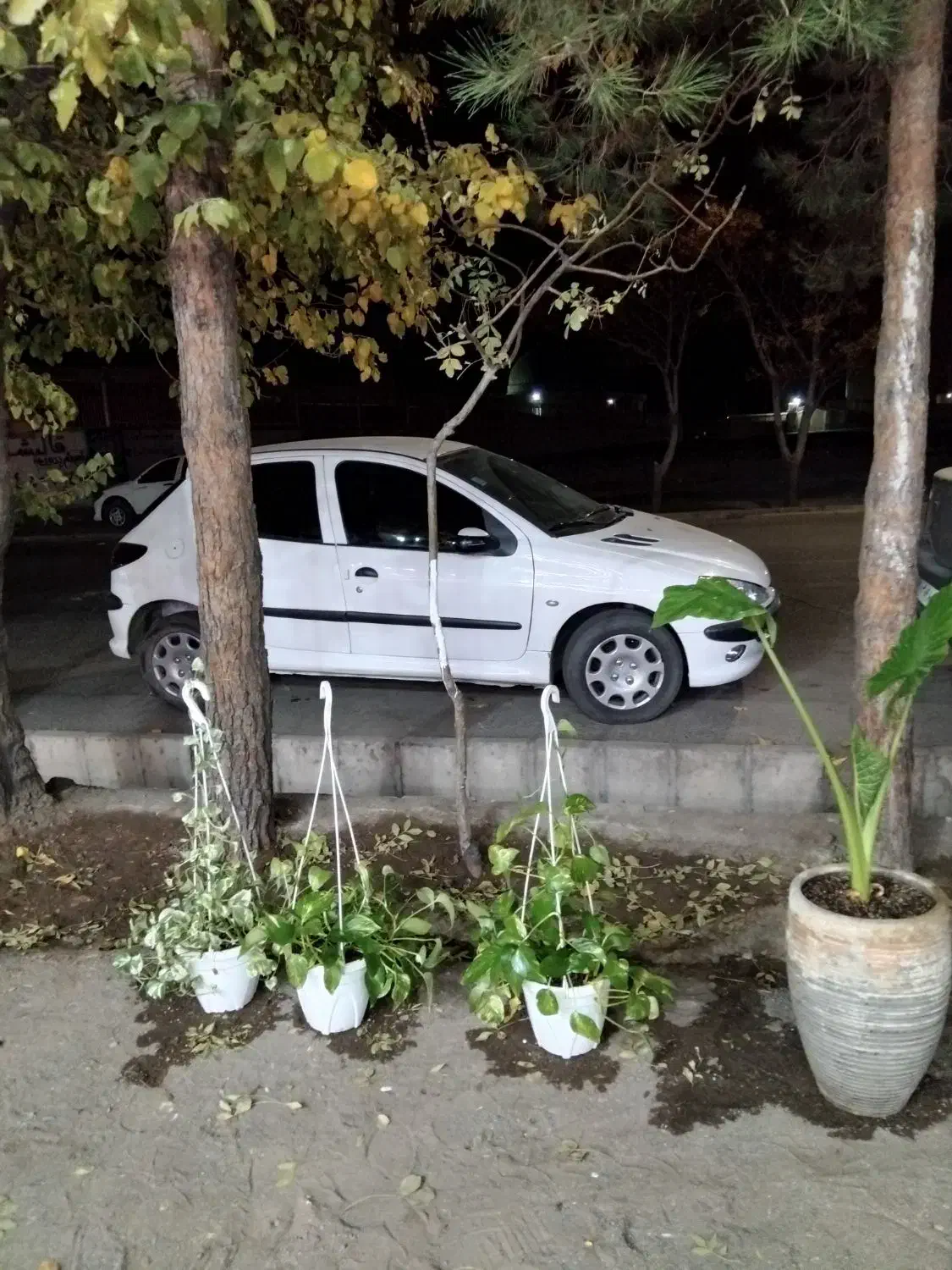 پژو۲۰۶تیپ۵|خودرو سواری و وانت|سبزوار, توحیدشهر|دیوار