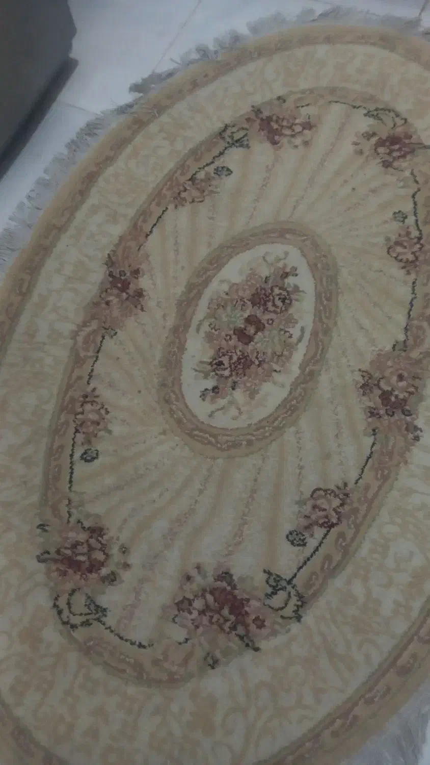 جاندارم ارزون میدم|فرش|پرند, فاز ۷|دیوار