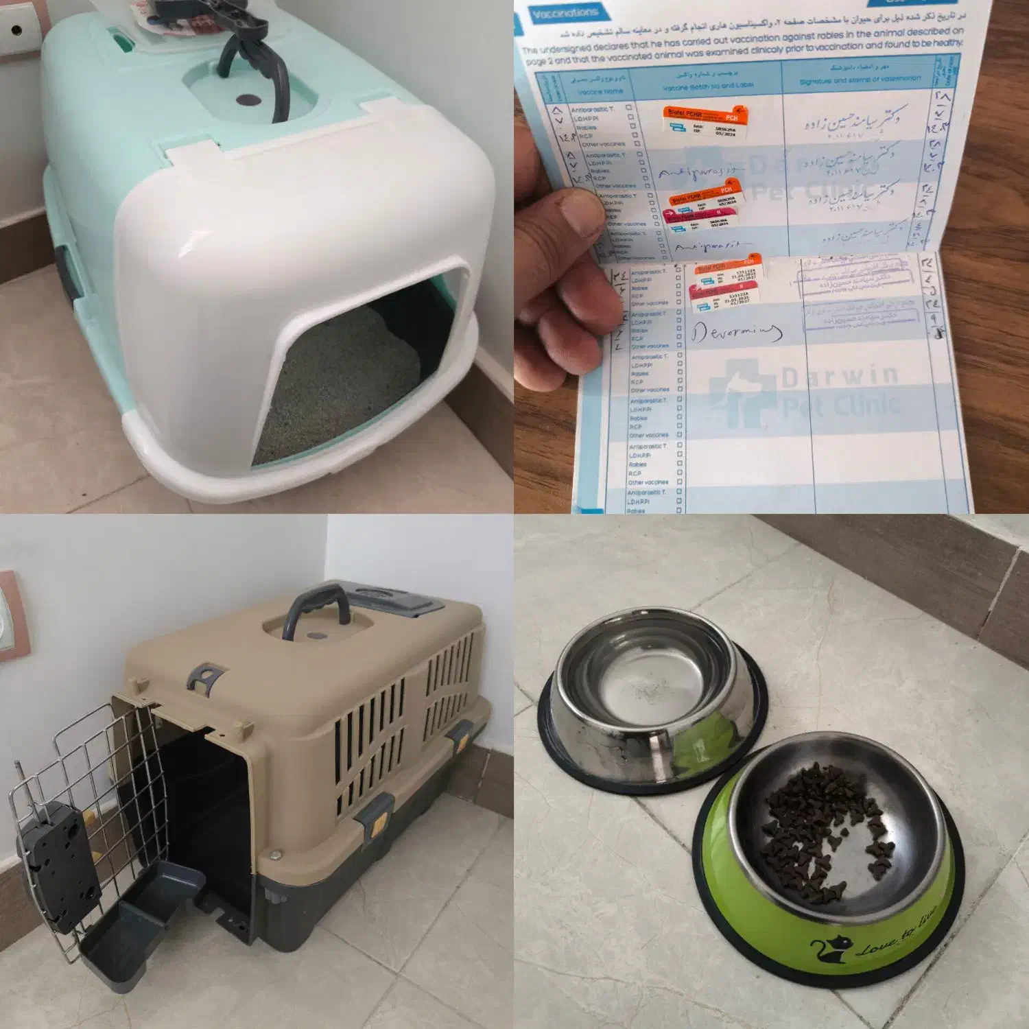 واگزاری به دلیل اقامت ارمنستان|گربه|بوکان, |دیوار