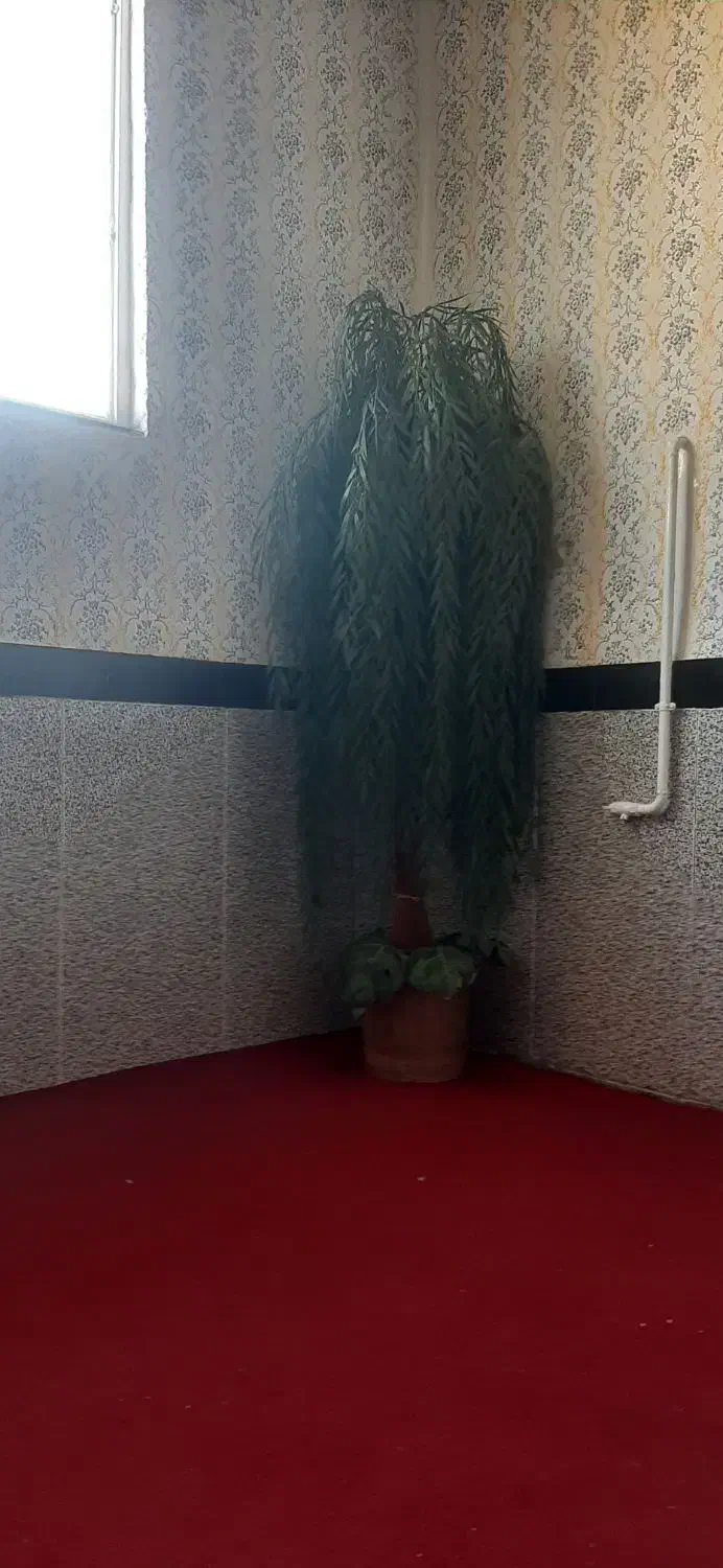 گل مصنوعی|گل مصنوعی|کامیاران, |دیوار