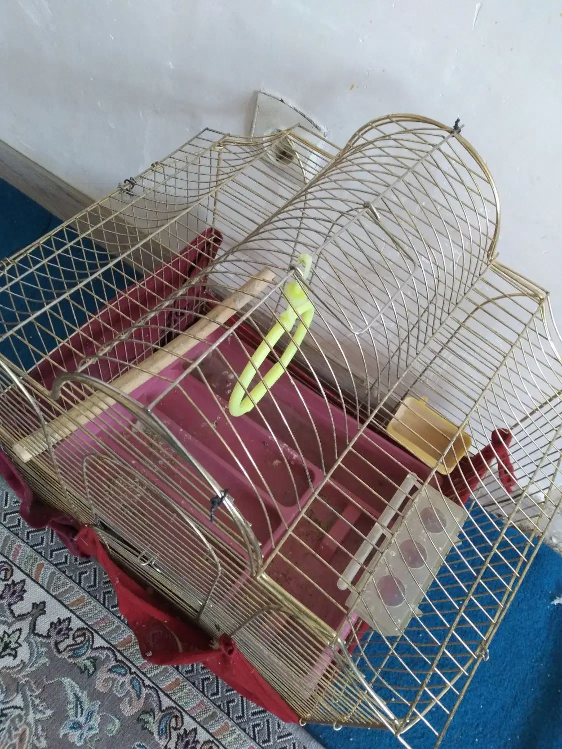 قفس حرفهای|لوازم جانبی حیوانات|فولادشهر, مسکن مهر فولادشهر|دیوار