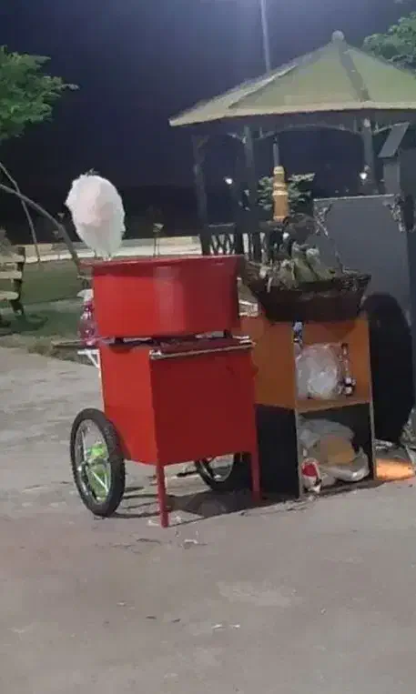 پشمک ساز|سایر لوازم برقی|زرین دشت (فارس), |دیوار