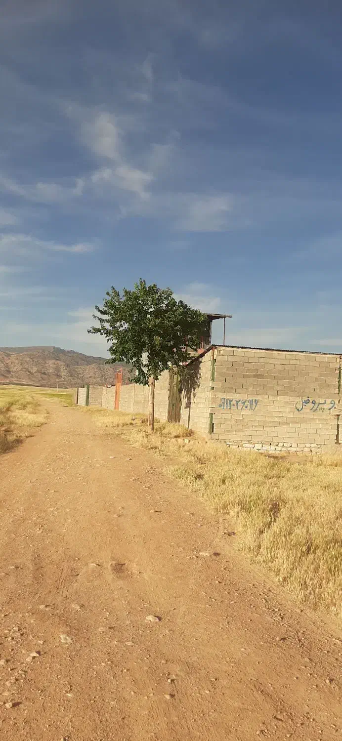 زمین براخونه باغ|فروش زمین و ملک کلنگی|کوهدشت, |دیوار