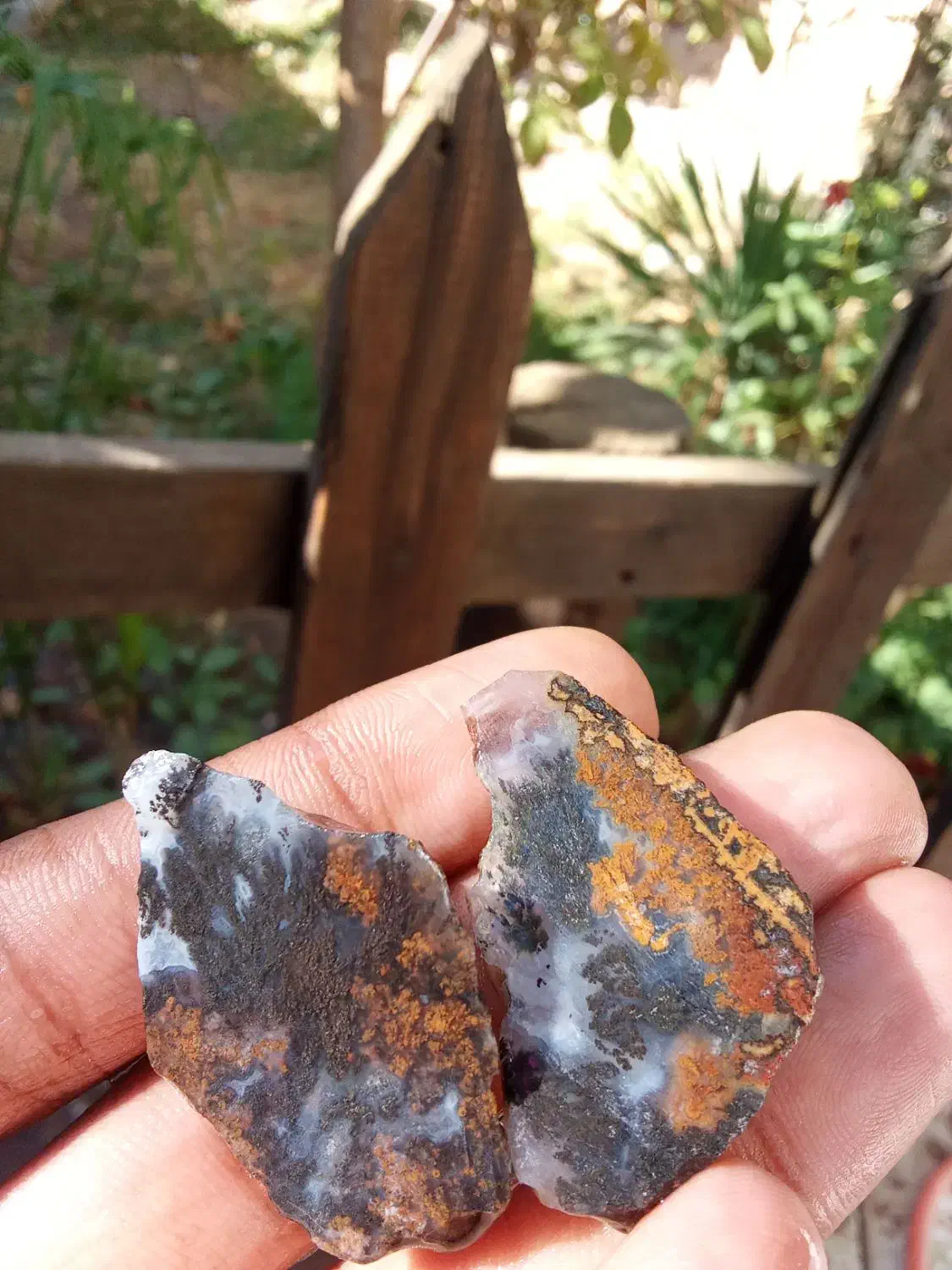 ۲ جفت شجر مشکی خاص خاص|کلکسیون اشیاء عتیقه|گتوند, |دیوار