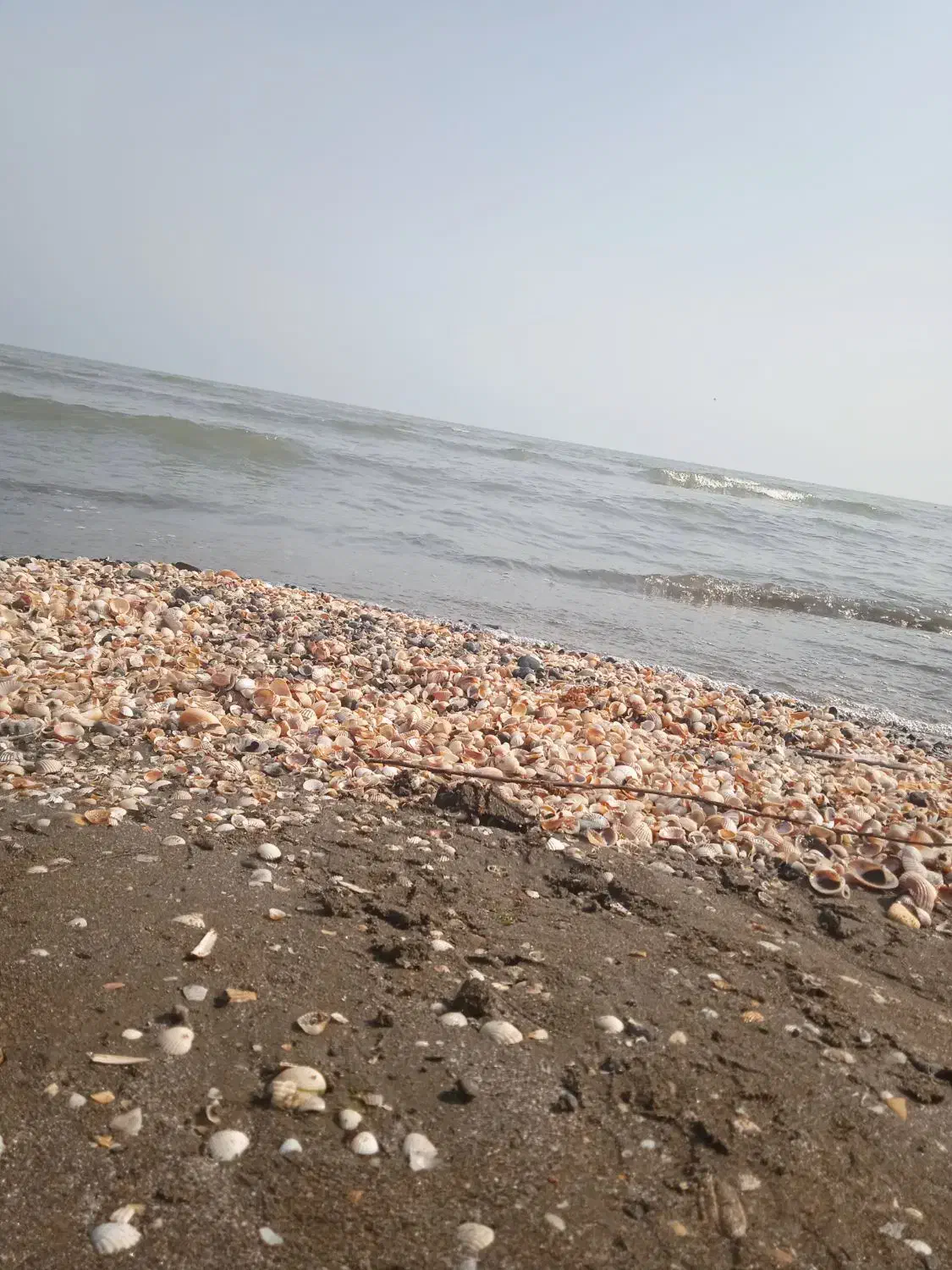 زمینی به متراژ187متر درممقان|فروش زمین و ملک کلنگی|ممقان, |دیوار