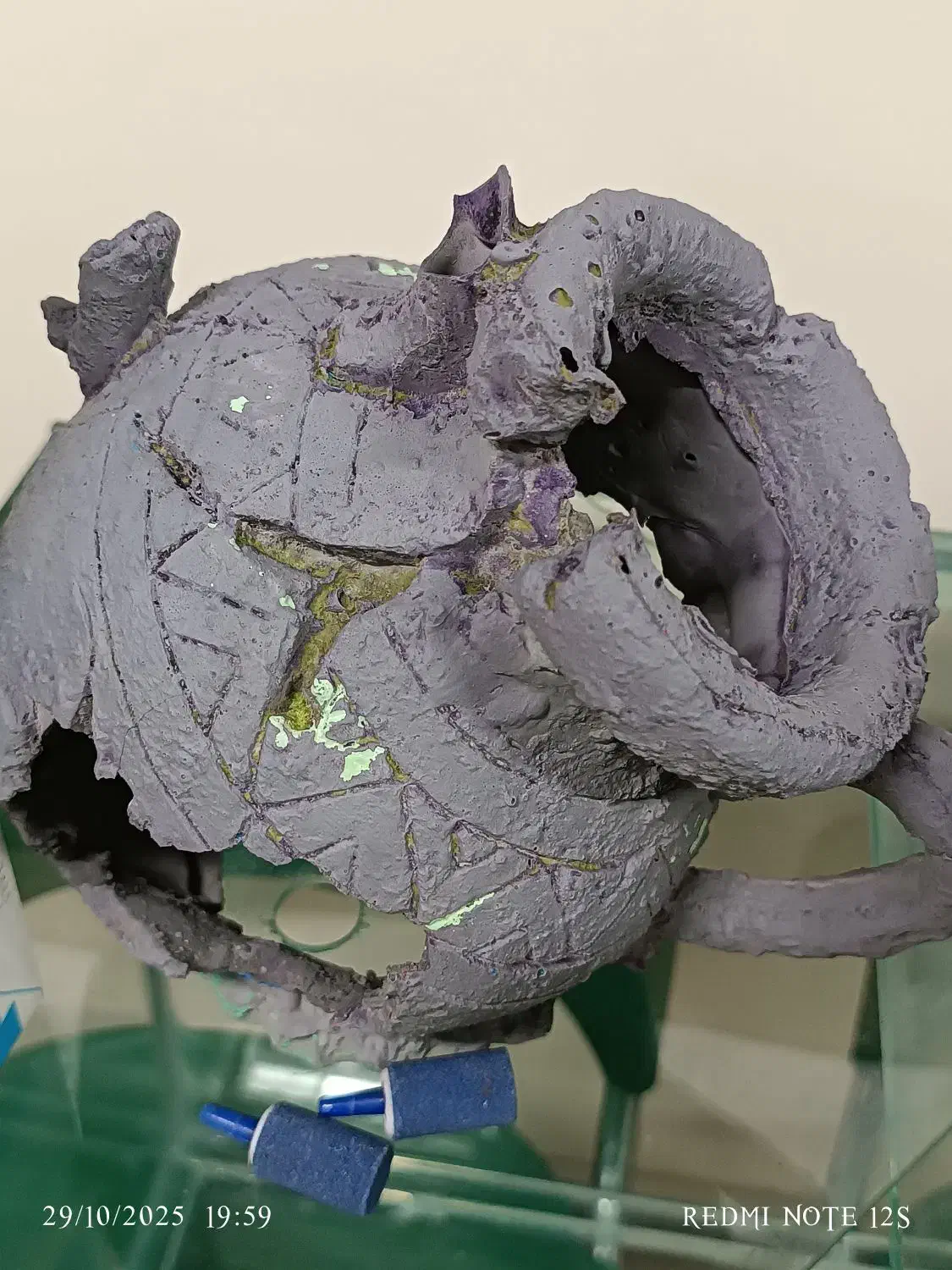 آکواریوم ، ماهی|ماهی|همدان, |دیوار