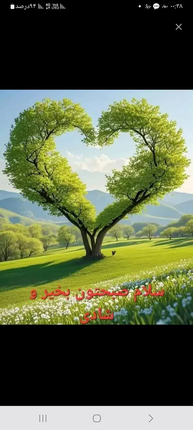 جای خواب موقت|خدمات نظافت|پاکدشت, پاکدشت (مامازند)|دیوار