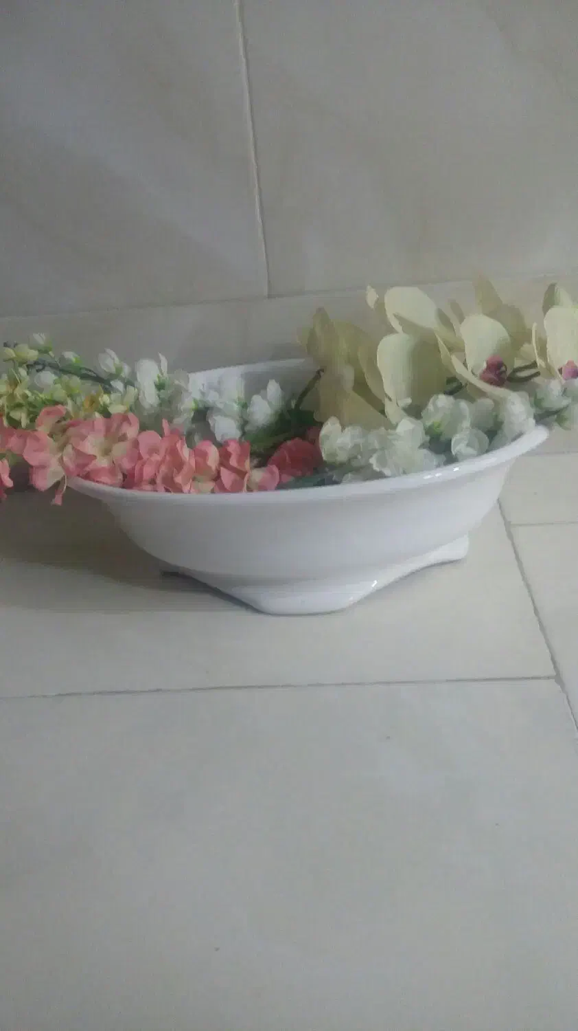 گل گلدون درخت زیبادر حدنو|گل و گیاه طبیعی|مشهد, ایثارگران|دیوار