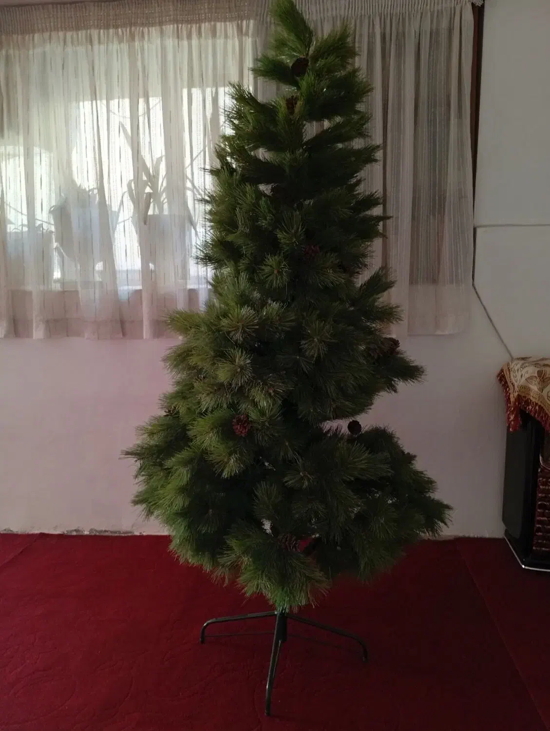 درختچه ی کاج سالم و زیبا|گل مصنوعی|مشهد, طلاب|دیوار