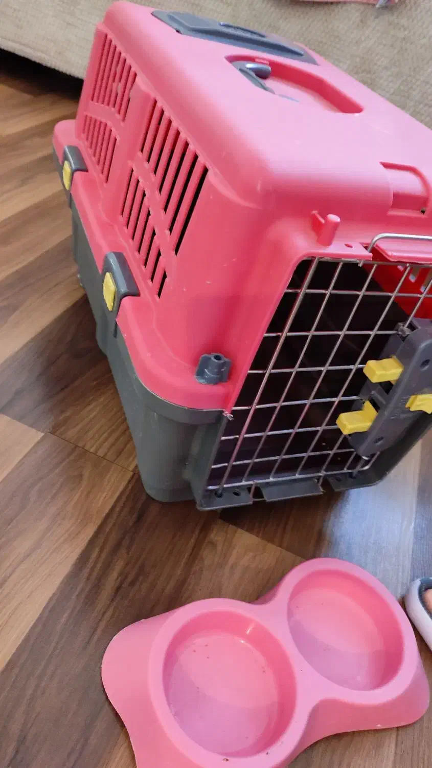 لوازم پت|لوازم جانبی حیوانات|اردبیل, |دیوار