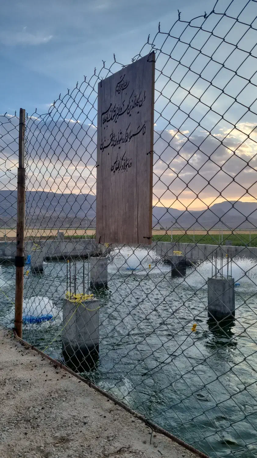 ماهی قزل آلا|ماهی|اقلید, |دیوار