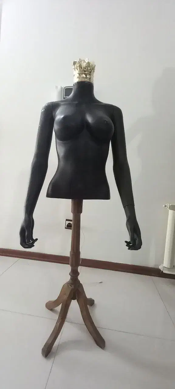 فروش مانکن|فروشگاه و مغازه|نیشابور, محله میدان باغات|دیوار