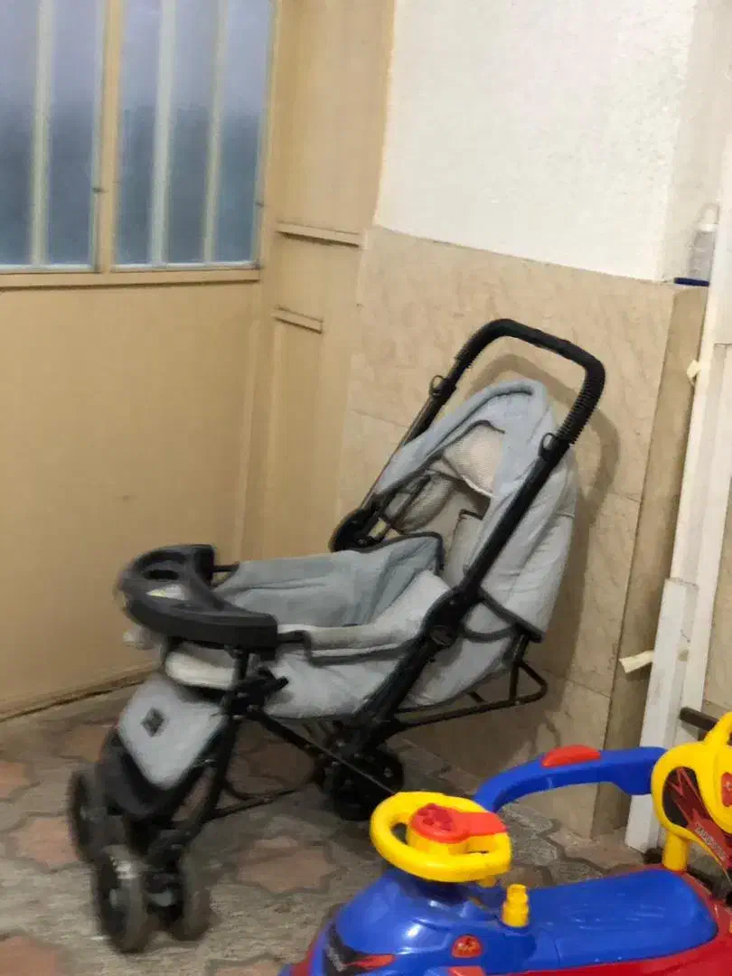 کالسکه روروئک|کالسکه و لوازم جانبی|رشت, معلولین|دیوار