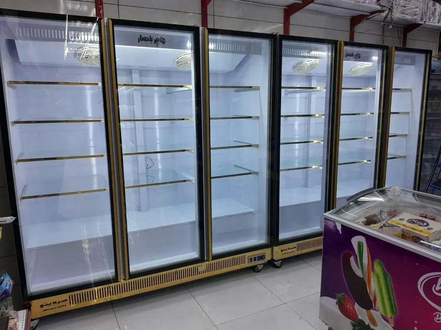 یخچال قصابی ایستاده لبنیاتی آلایشی و..|فروشگاه و مغازه|مشهد, رسالت|دیوار