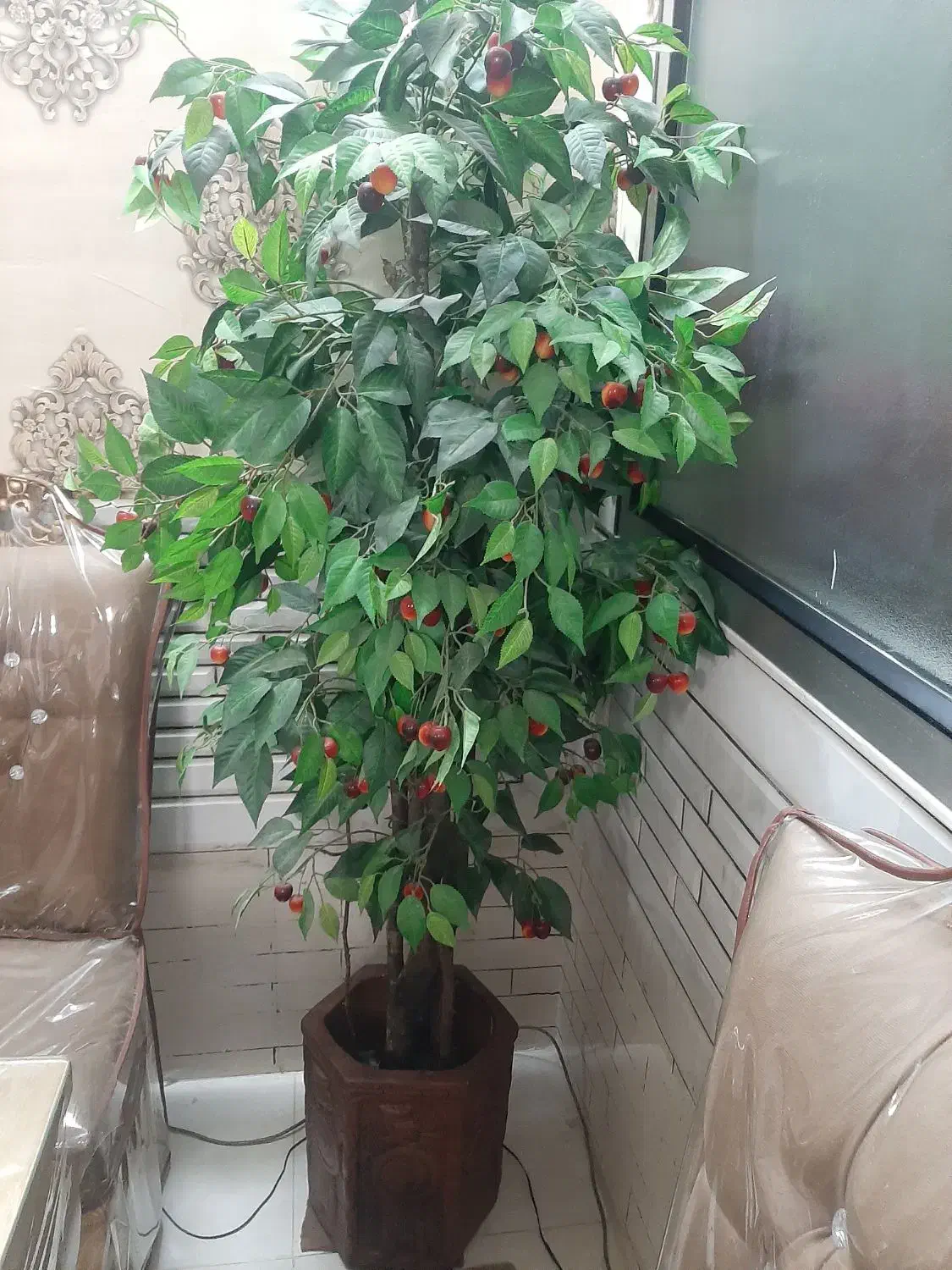 درختچه گیلاس مرتب تمیز وشیک|گل مصنوعی|الیگودرز, |دیوار