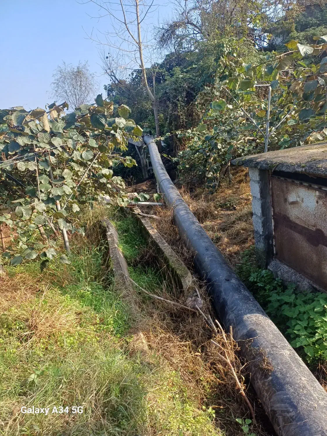 لیسانس عمران با سابقه بیمه رتبه اب|استخدام معماری، عمران و ساختمانی|تالش, هشتپر|دیوار
