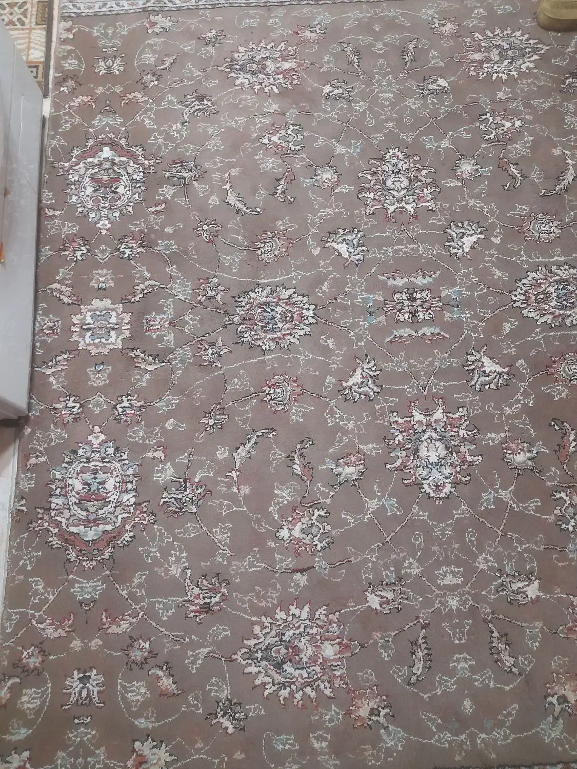 فرش|فرش|لنگرود, |دیوار