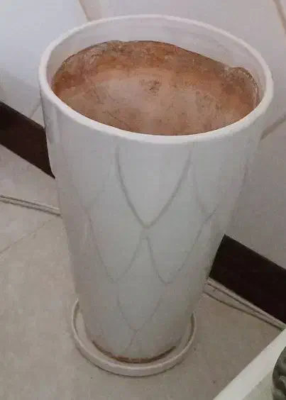 گلدان بزرگ سرامیکی|گل و گیاه طبیعی|قم, باغ کرباسی|دیوار