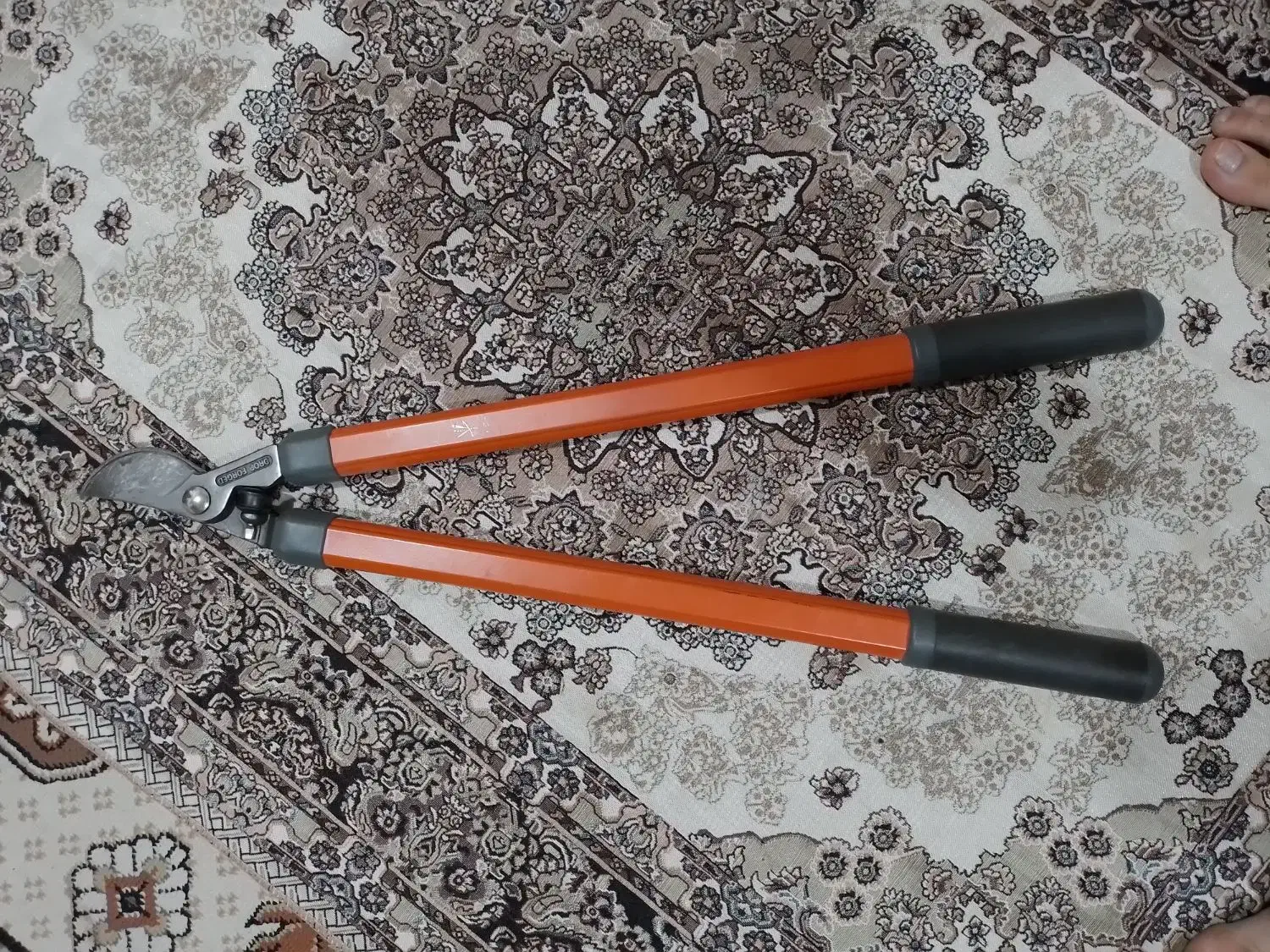 قیچی|ابزارآلات|مریوان, |دیوار