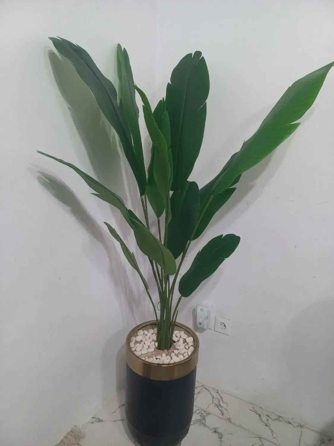 فروش درختچه های مصنوعی|گل مصنوعی|آستارا, |دیوار